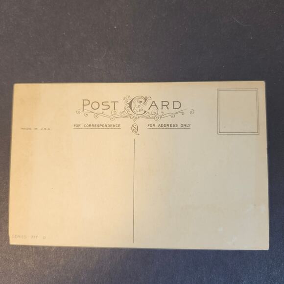 Thanksgiving Vintage Postcard Lot Of 2 Unposted Turkey Greetings USA - Picture 8 of 9